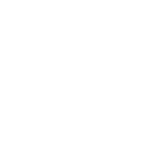 Rich Digital Marketing